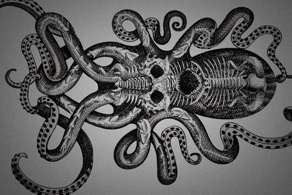 Kraken вход kraken torion