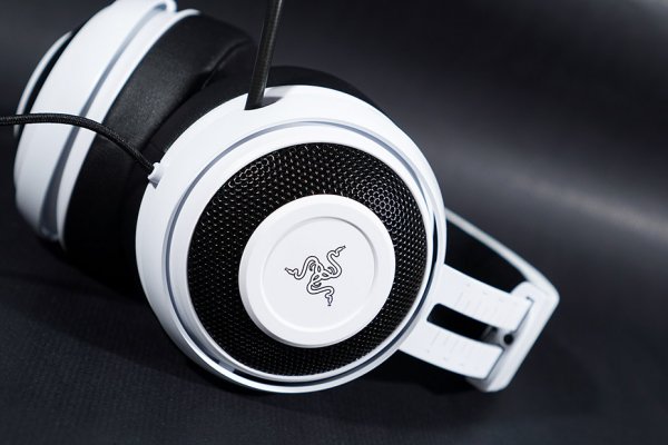 Kraken 6 at