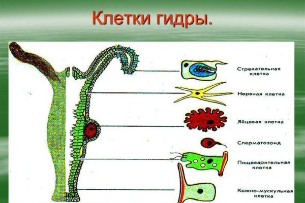 Кракен площадка торговая kr2web in