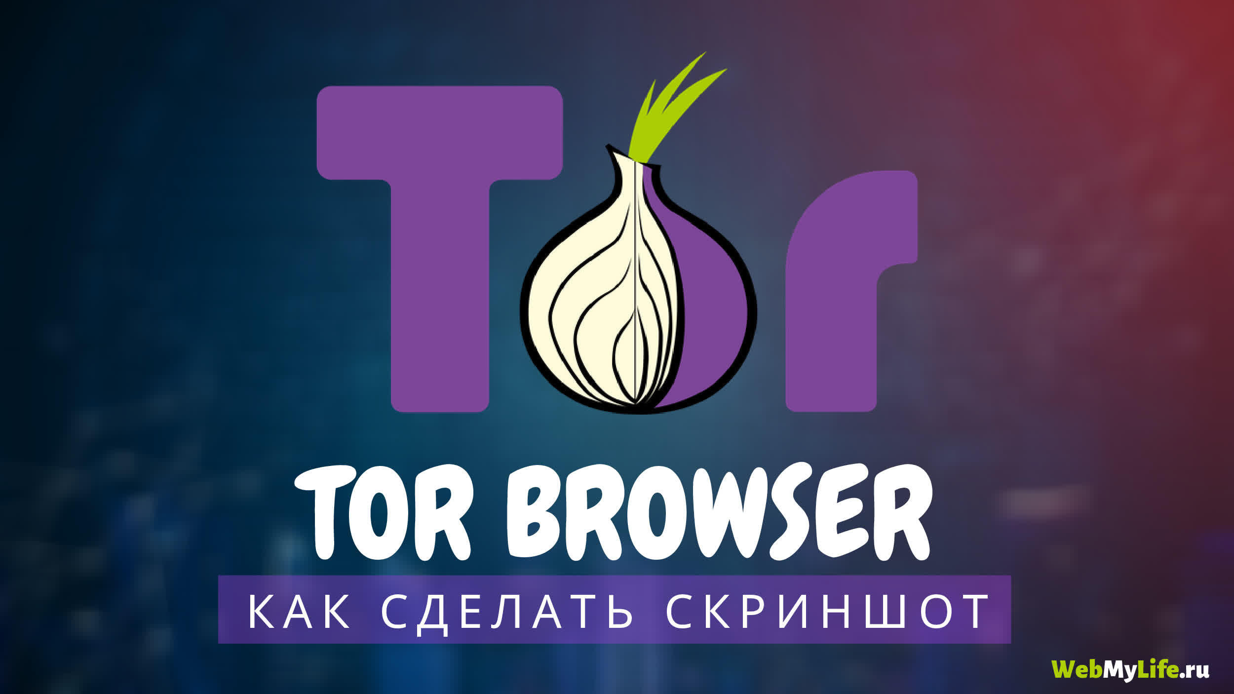 Как вернуть аккаунт на кракене