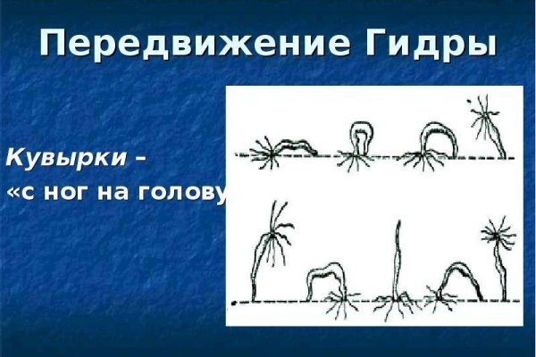 Kraken 5 at