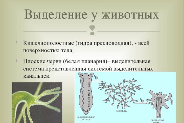 Сайты с наркотой