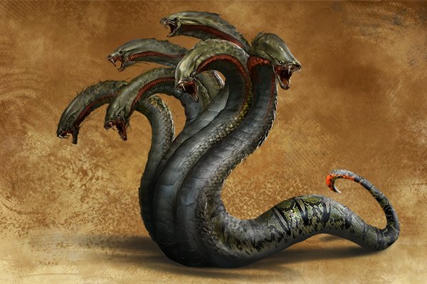 Kraken forum