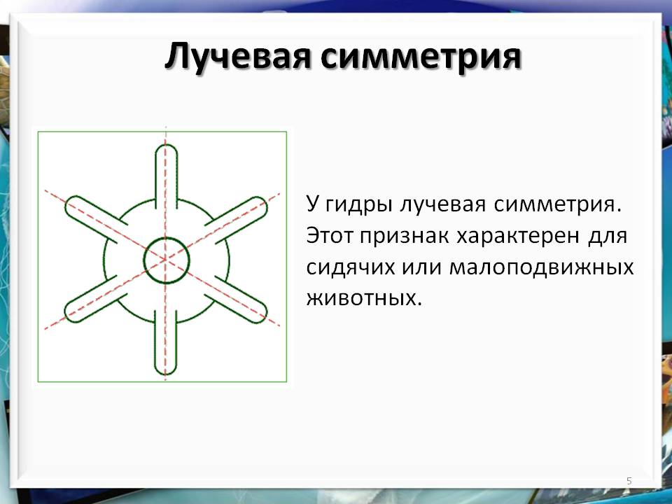 Кракен дарксайд