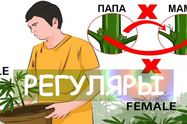 Кракен активная ссылка