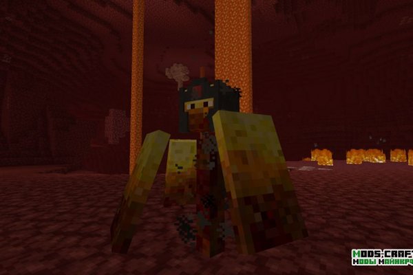 Kraken place